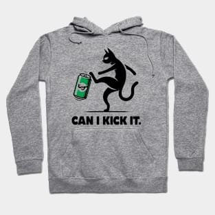 can i kick it - cats Hoodie